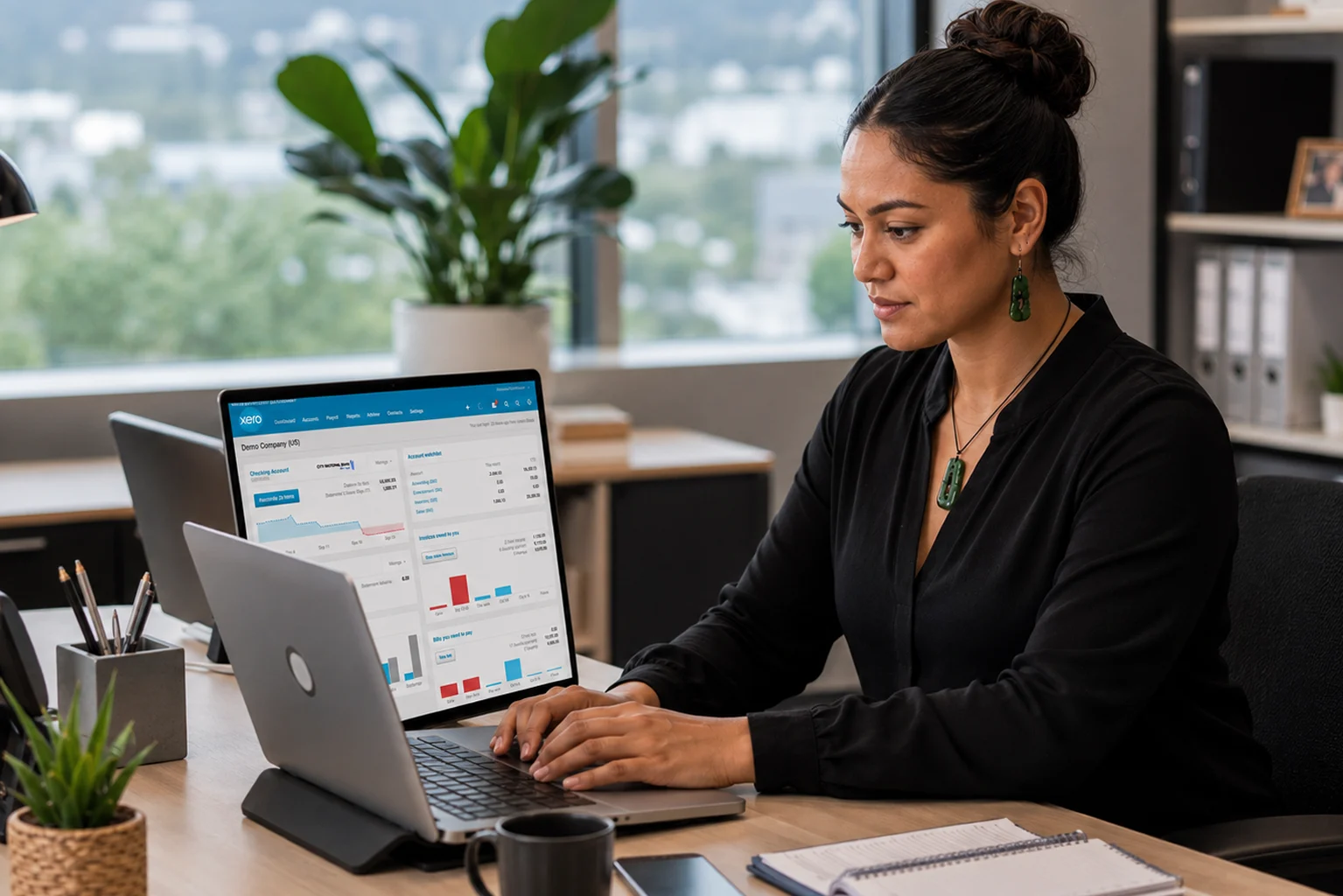 IT support for accountants and bookkeepers